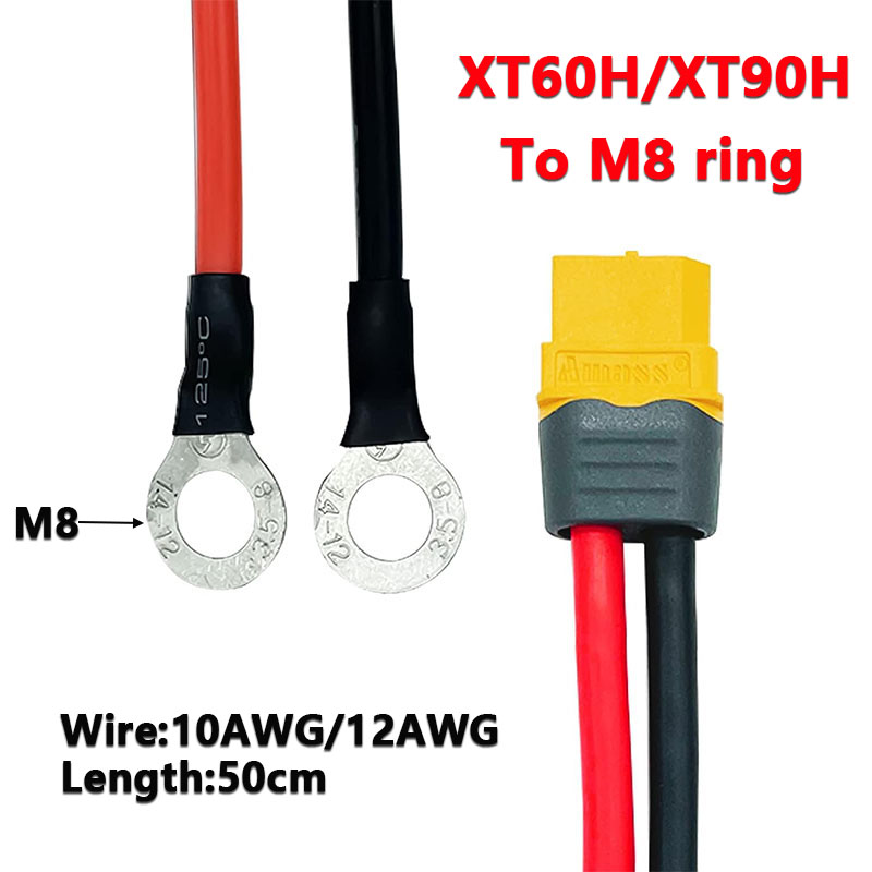 XT60H/XT90H zu M8 Ringösen-Ans – Balance Charger Rc Bewertung und Preis