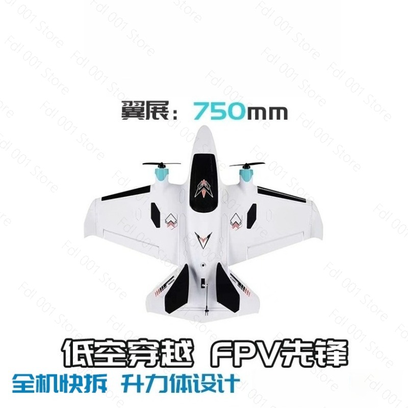Dual-Motor FPV RC-Flugzeug mit – Fpv Drone Bewertung und Preis